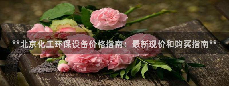 亿万讲什么：**北京化工环保设备价格指南：最新现价和购买指南**