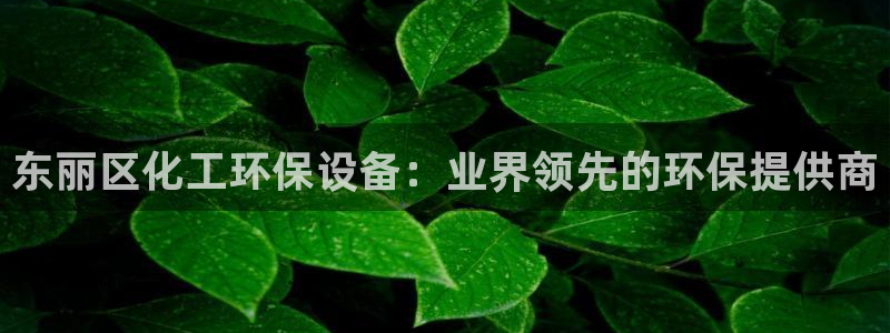 亿万先生手机版入口在哪看：东丽区化工环保设备：业界领先的环保提供商