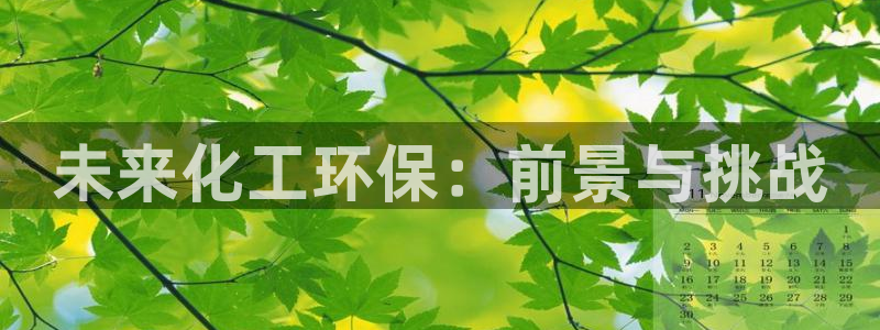 mr亿万先生：未来化工环保：前景与挑战