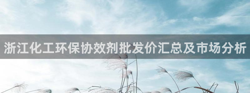 亿万首富游戏：浙江化工环保协效剂批发价汇总及市场分析