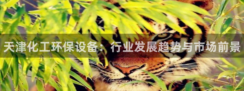 亿万先生首页：天津化工环保设备：行业发展趋势与市场前景