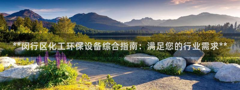 亿万先生下载客户端：**闵行区化工环保设备综合指南：满足您的行业需求**