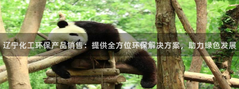 亿万先生网页版：辽宁化工环保产品销售：提供全方位环保解决方案，助力绿色发展