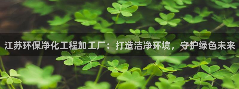 亿万网友在线实时为您解答：江苏环保净化工程加工厂：打造洁净环境，守护绿色未来