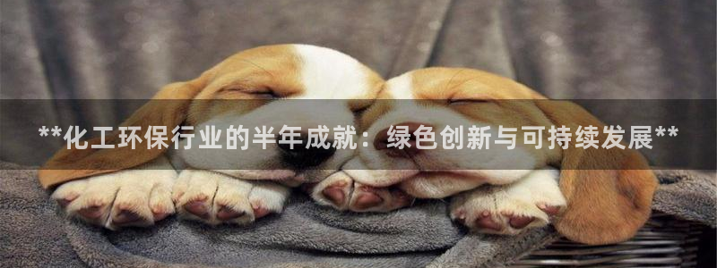 mr8001亿万先生：**化工环保行业的半年成就：绿色创新与可持续发展**