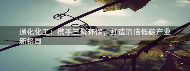 亿万先生网红：通化化工：携手三聚环保，打造清洁低碳产业
新格局