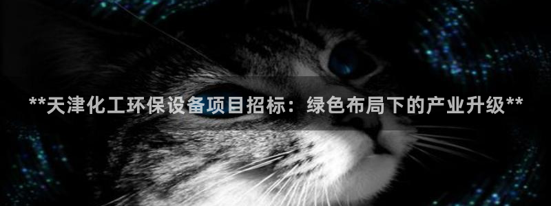 亿万28下载地址：**天津化工环保设备项目招标：绿色布局下的产业升级**