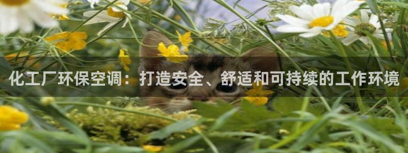 亿万先生游戏：化工厂环保空调：打造安全、舒适和可持续的工作环境