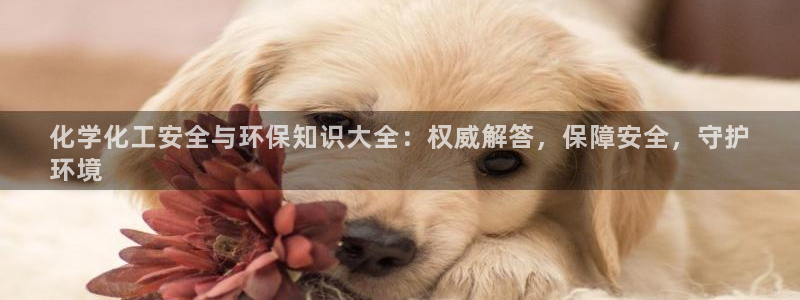 电影 亿万：化学化工安全与环保知识大全：权威解答，保障安全，守护
环境