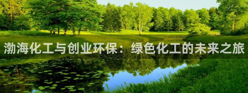 亿万先生网页版：渤海化工与创业环保：绿色化工的未来之旅