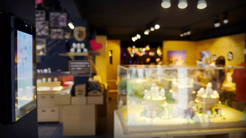 昭通纸箱王选取GVS智能节造系统
