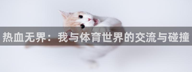 oety欧亿